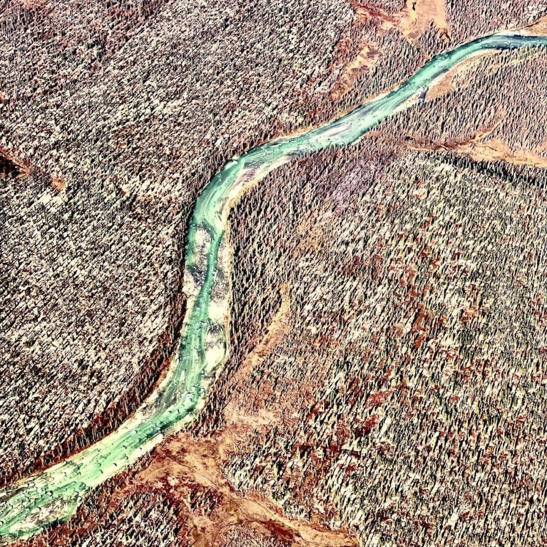Aerial view of river through snowy forest.