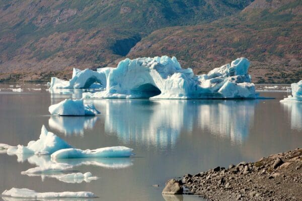 Icebergs floating in calm water, mountainous background.